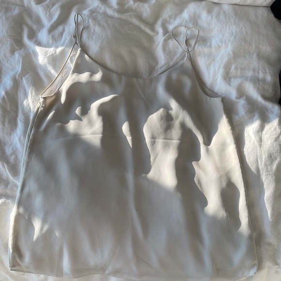 Aritzia: Mesh Camisole - Picture 3 of 4